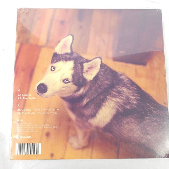 *Sealed* Kate Tempest Circles 12" Vinyl ft Remixes by Mike Skinner & Micachu - Picture 2 of 4